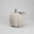 Tall White Textured Resin Pumpkin with Leaf