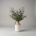 Bottle Vase Potted Olive Tree | 24"H