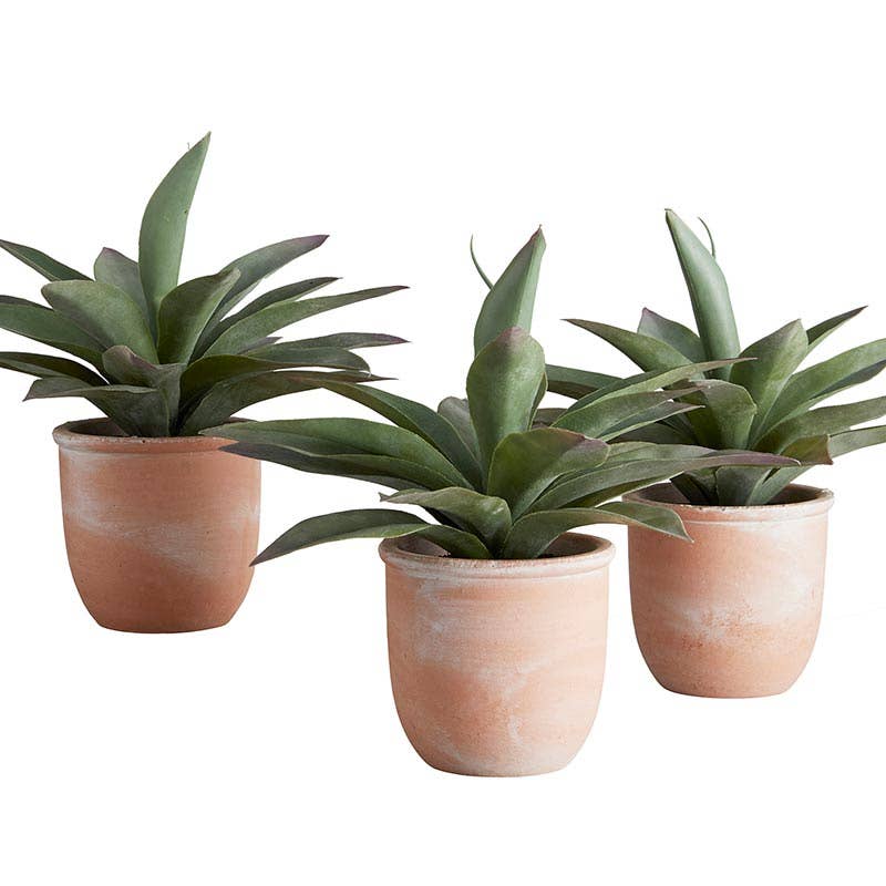 Artificial Plants -  Propeller Plant