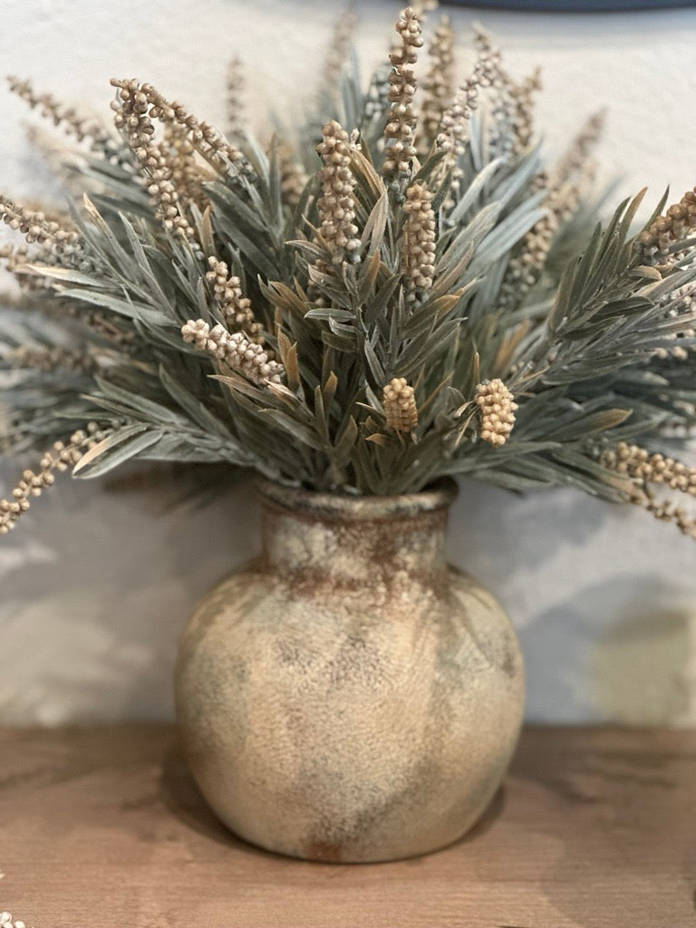 Millet Grass Stem