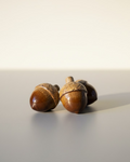 Decorative Acorns