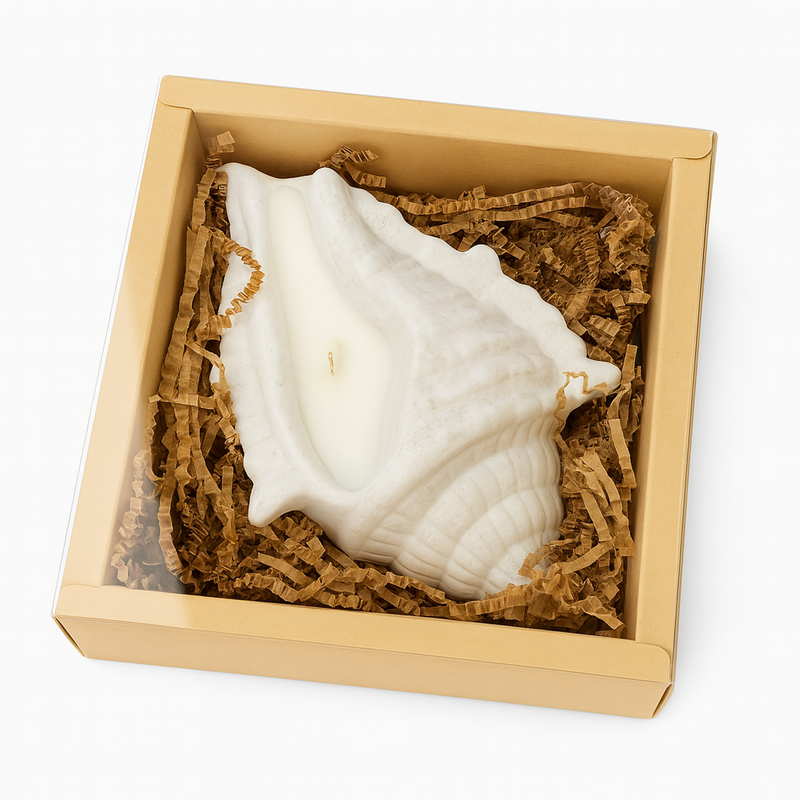 Luxury Candles by Pampre'd | Summer Collection