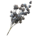 Short Pinecone Stem