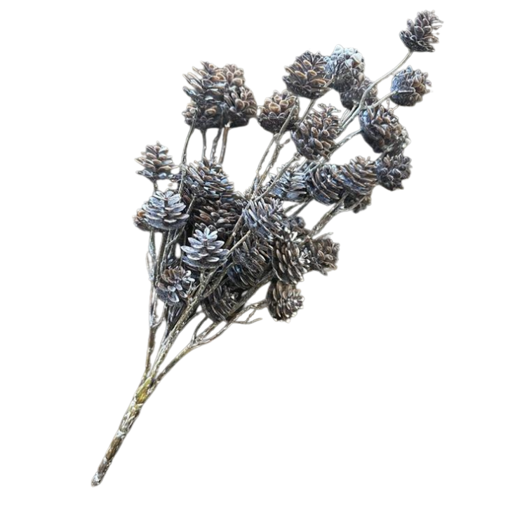 Short Pinecone Stem
