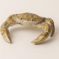 Gold Crab | 7.7"