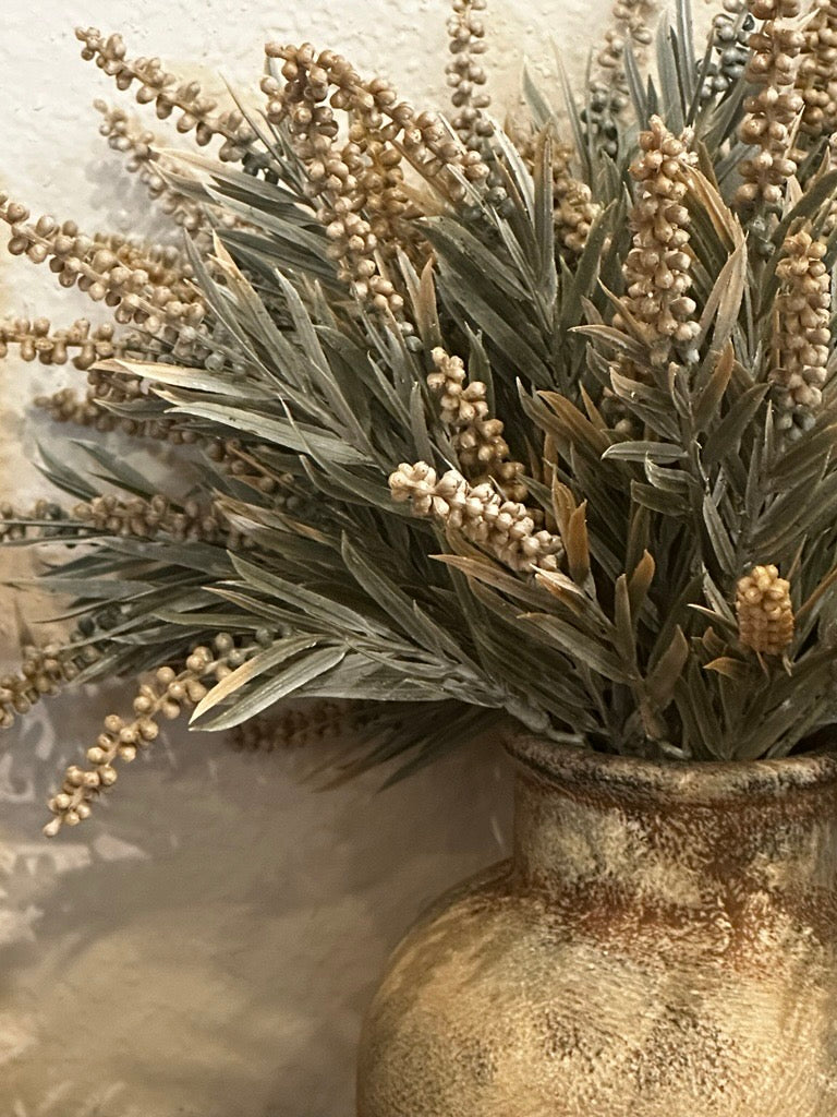 Millet Grass Stem