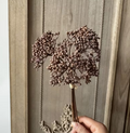 Floral Decorative Bloom Stems