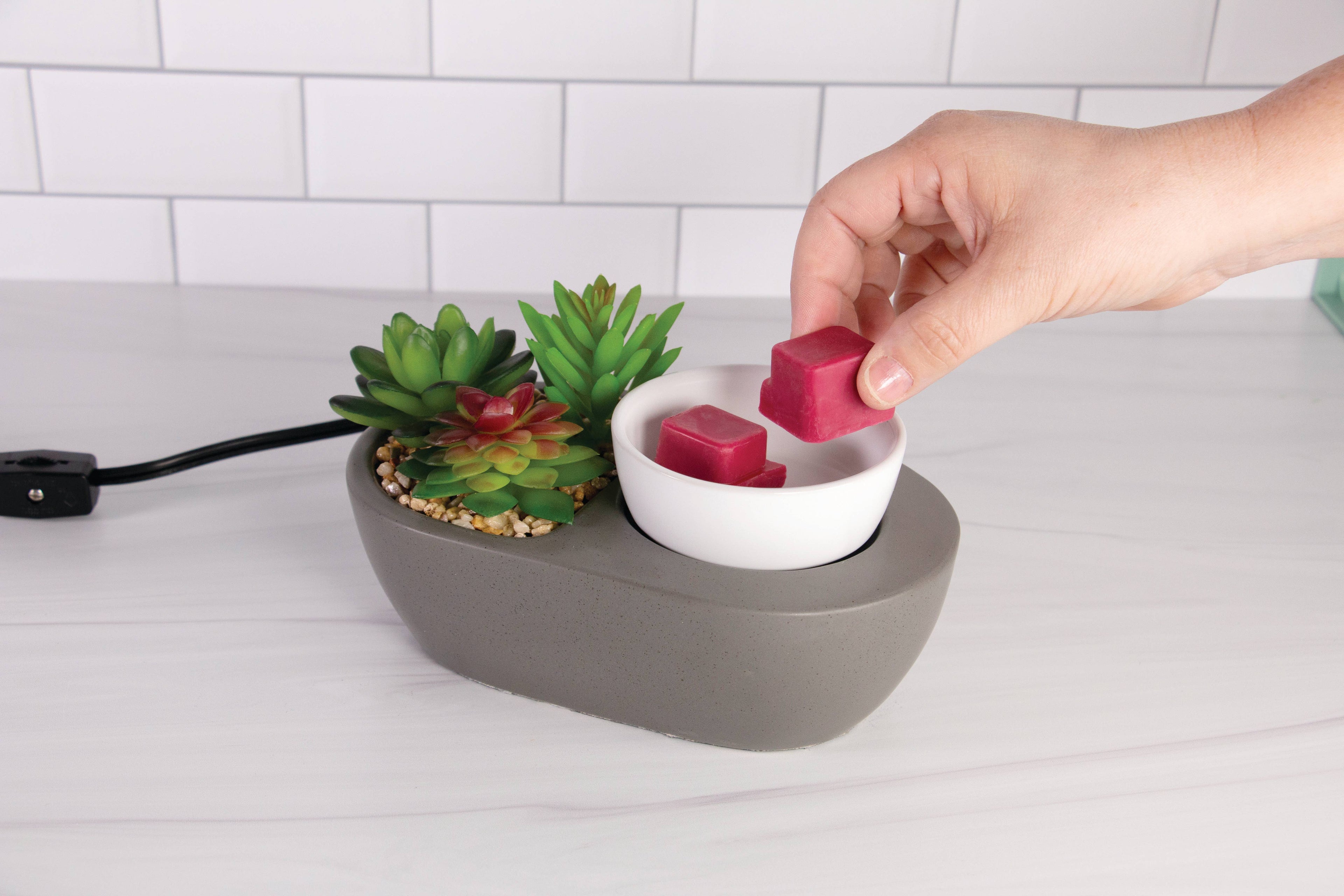 Artscents Wax Warmer | Succulent