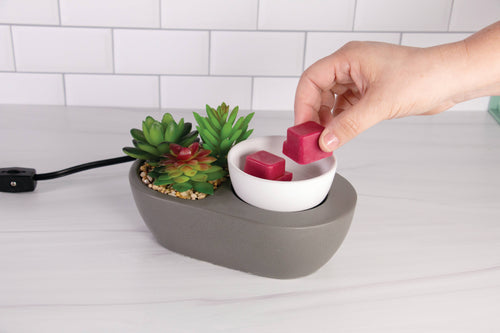 Artscents Wax Warmer | Succulent