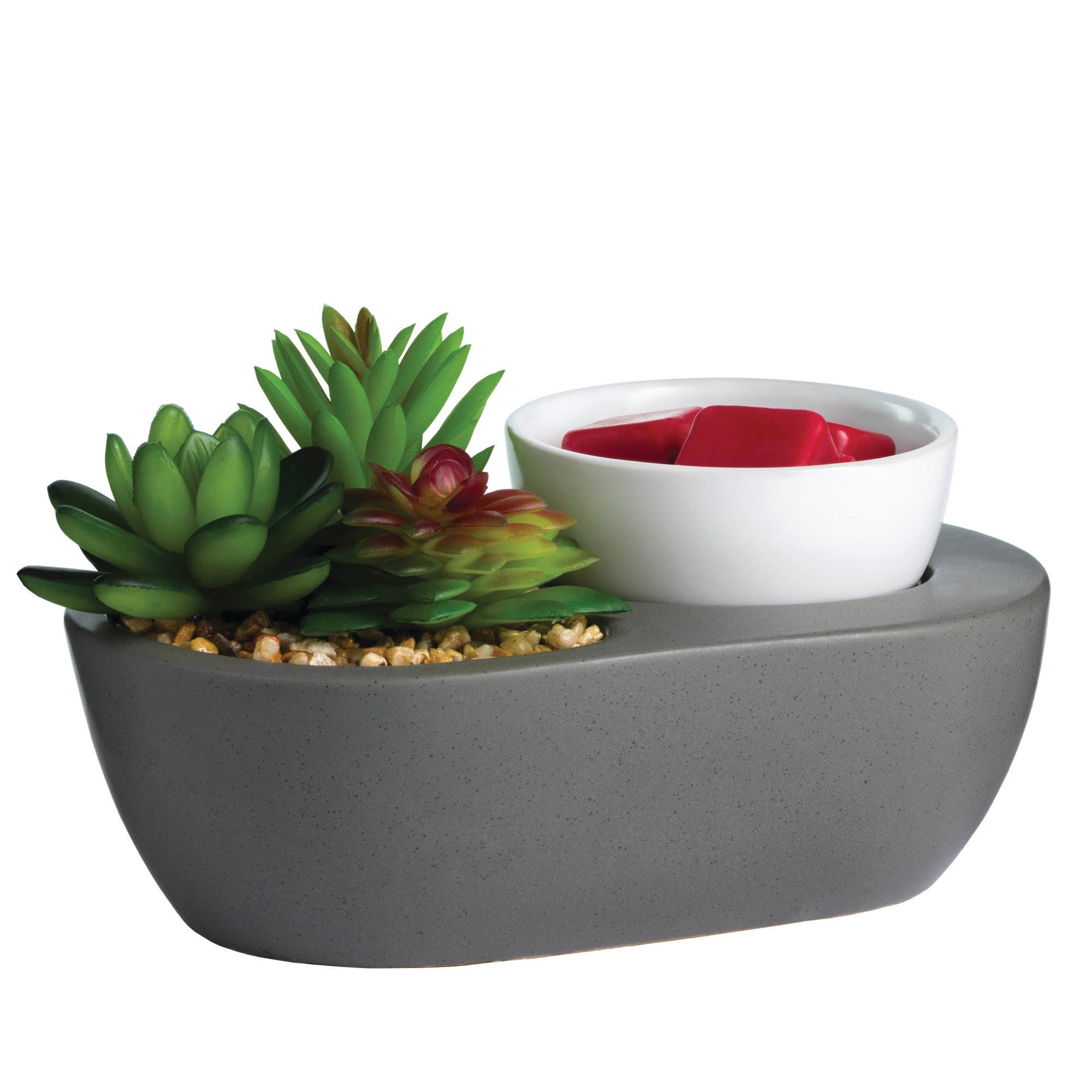 Artscents Wax Warmer | Succulent