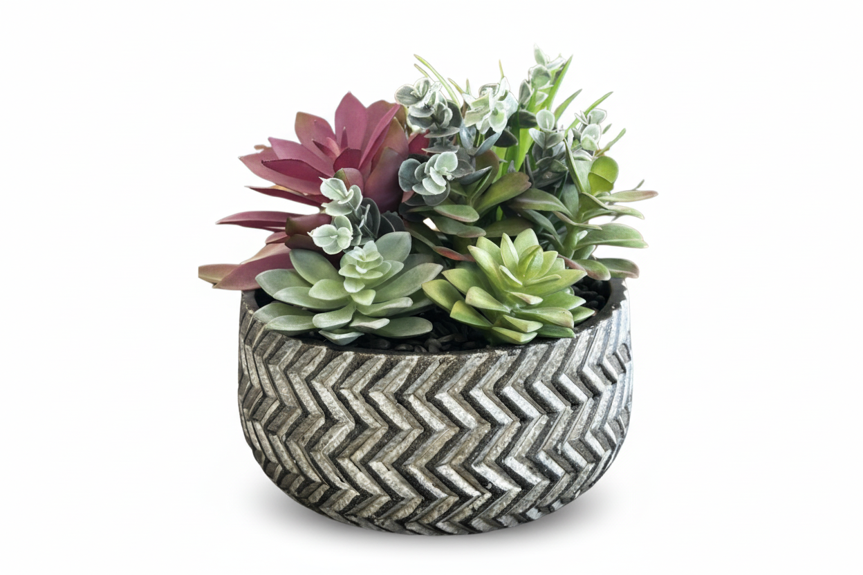 Round Succulent Arrangement