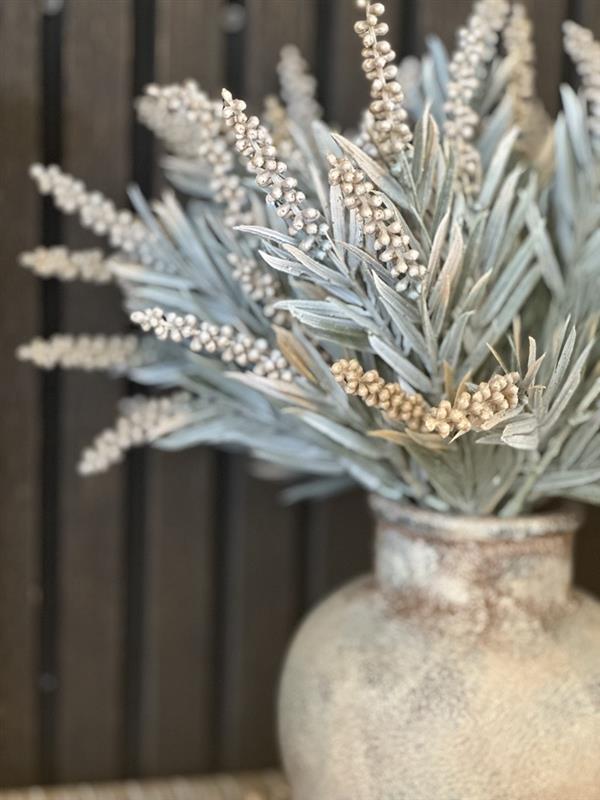 Millet Grass Stem