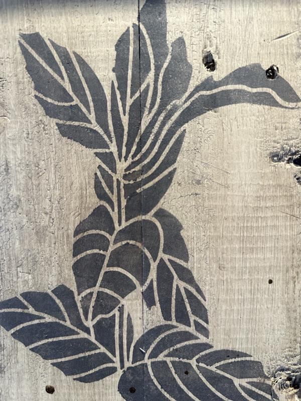 Rustic Wooden Plant Prints