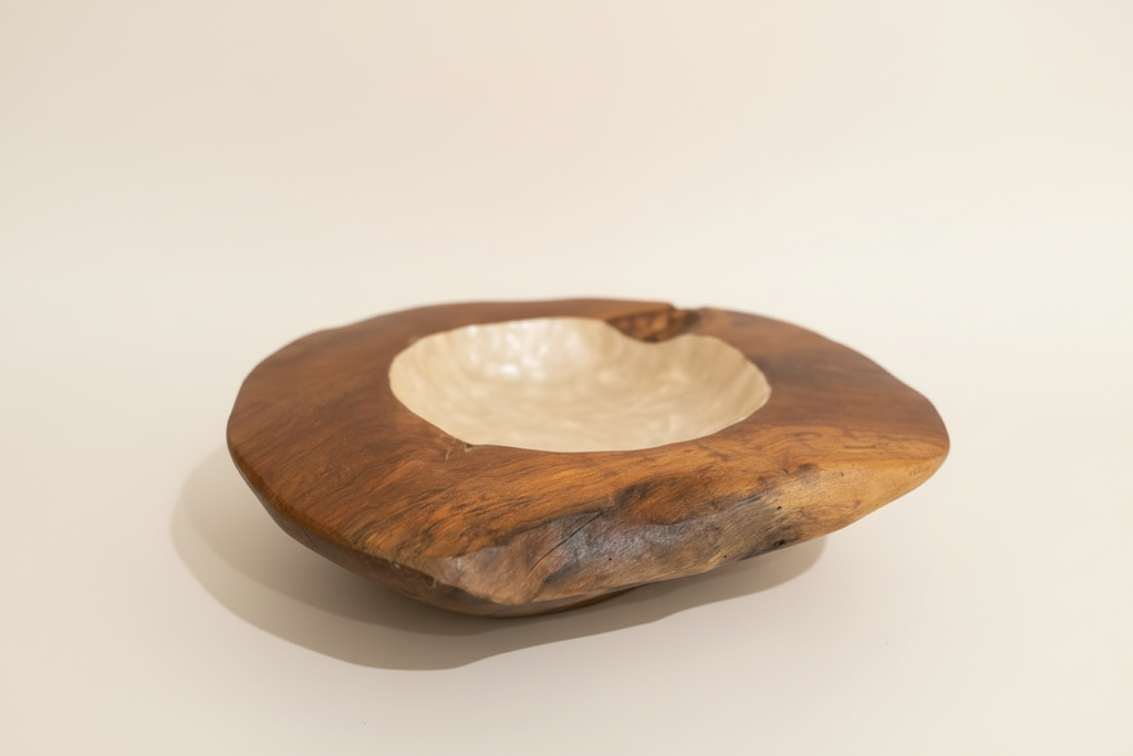 Organic Shell Encrusted Bowl