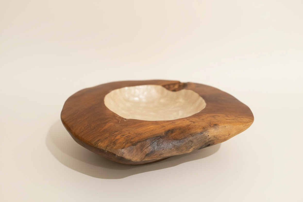 Organic Shell Encrusted Bowl