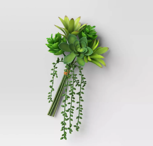 Succulent Mini Bundle