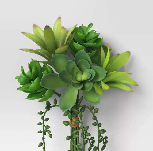 Succulent Mini Bundle