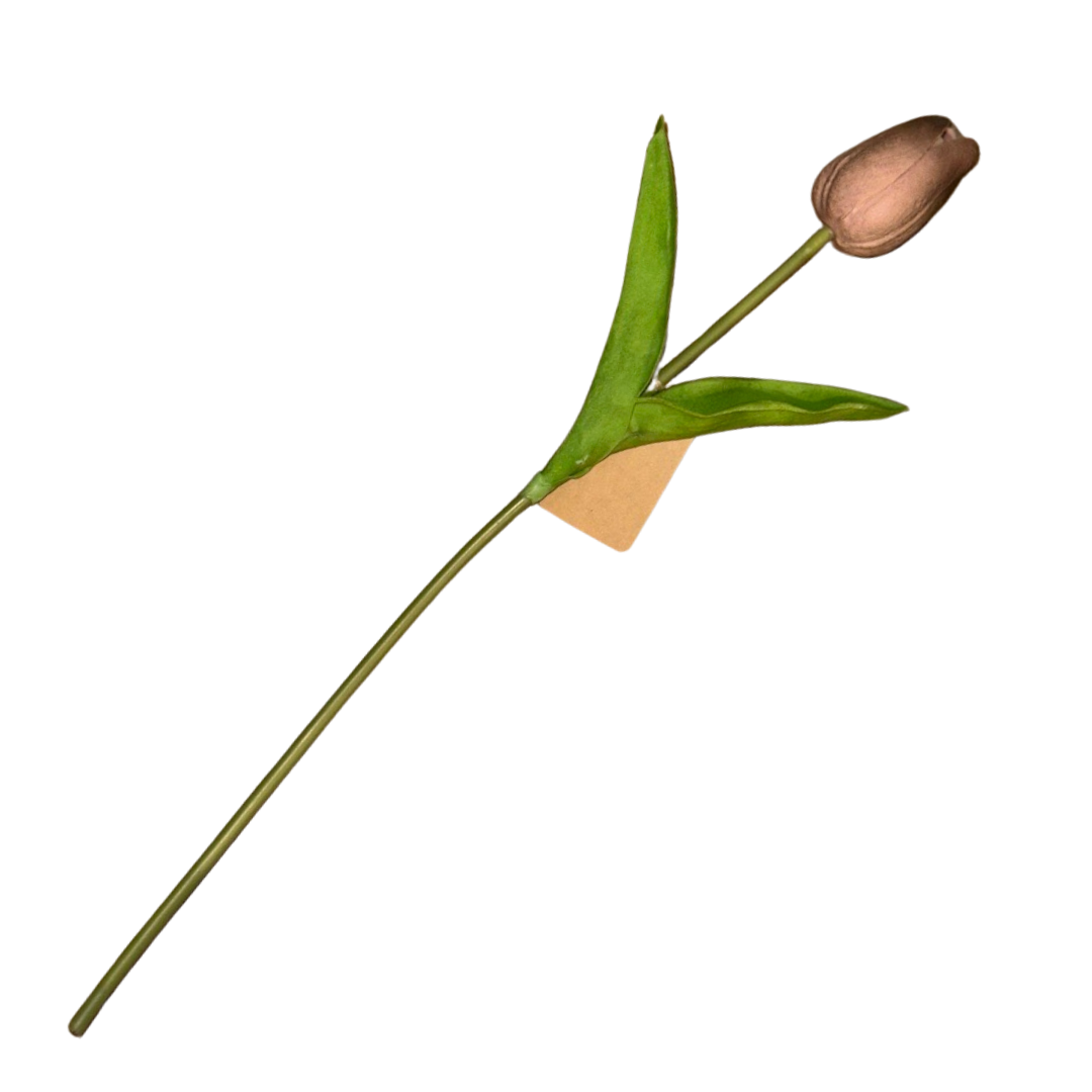 Dusty Pink Tulip Stem