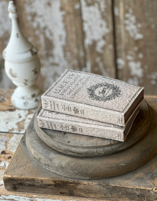 Novel Notes | Wonderland Regular