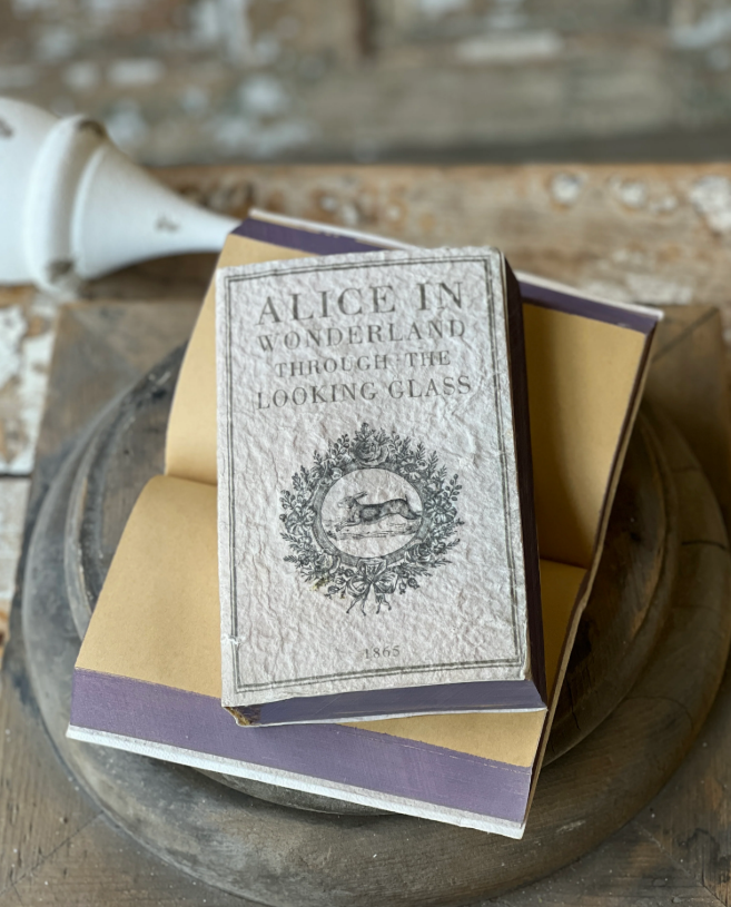 Novel Notes | Wonderland Regular