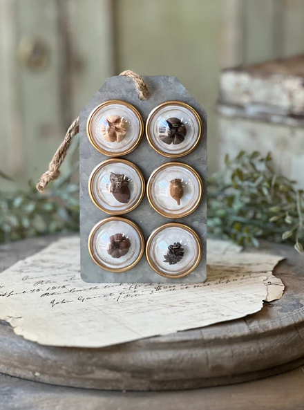 Tiny Treasures Magnets | Pods 6pc