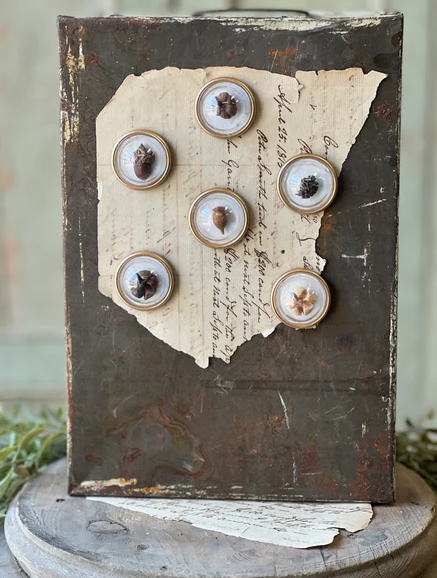 Tiny Treasures Magnets | Pods 6pc