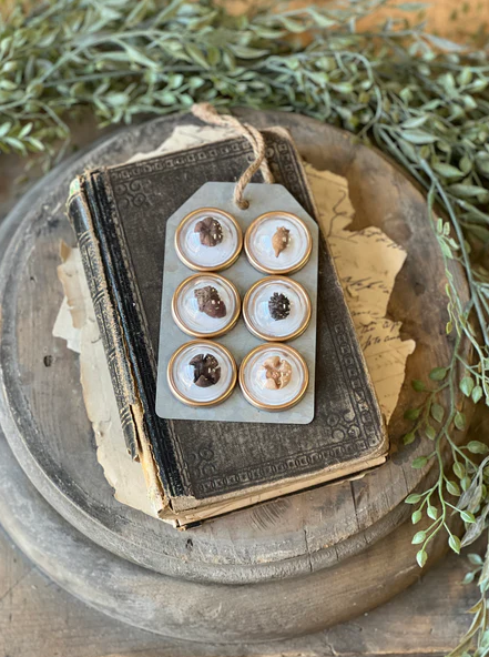 Tiny Treasures Magnets | Pods 6pc
