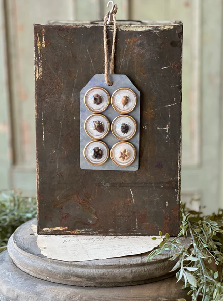 Tiny Treasures Magnets | Pods 6pc