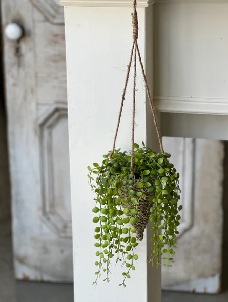 7" Brentwood Hanging Basket