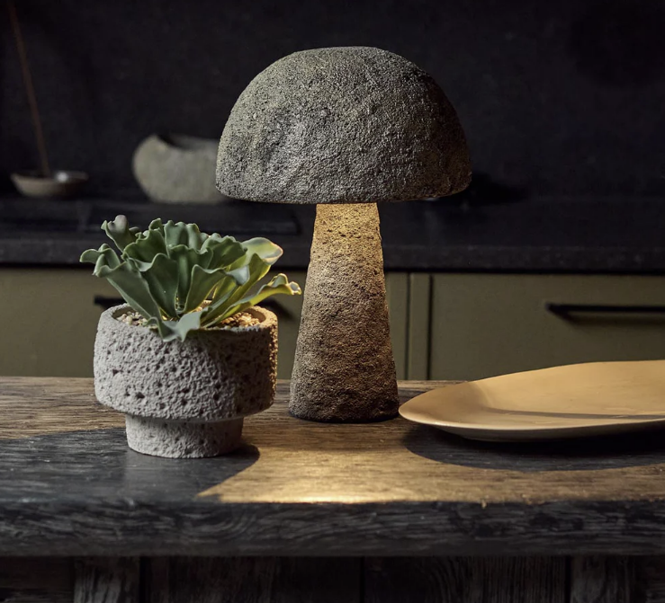 Abigail Ahern | Artificial Kalanchoe