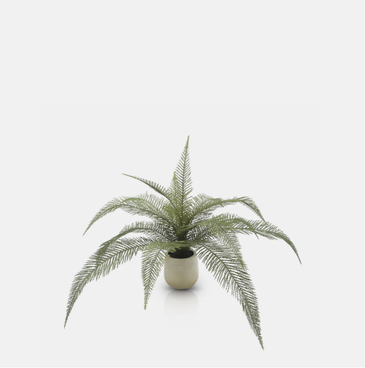 Abigail Ahern | Artificial Deer Fern
