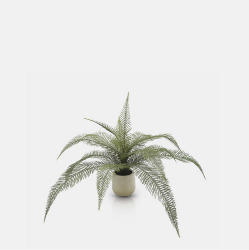 Abigail Ahern | Artificial Deer Fern