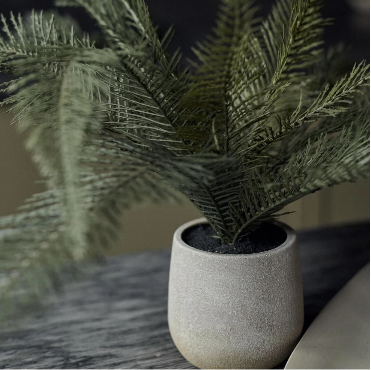 Abigail Ahern | Artificial Deer Fern