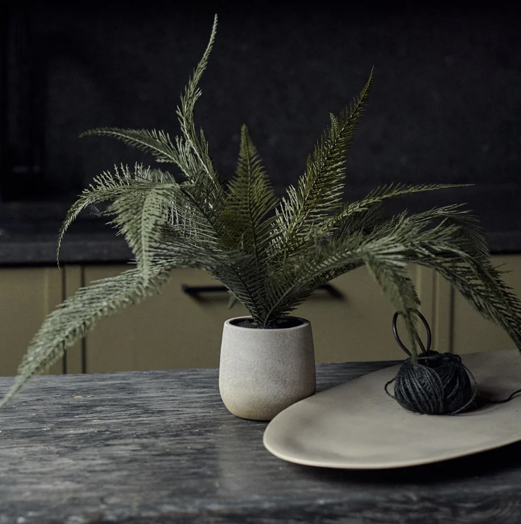 Abigail Ahern | Artificial Deer Fern
