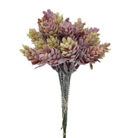 Succulent Stems