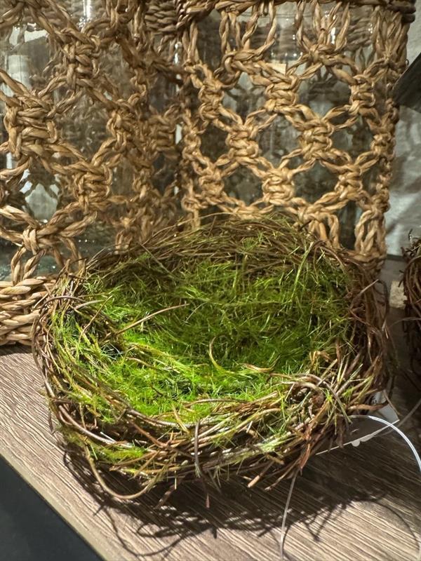 Small Mossy Twig Nest