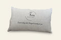 The APBS Design Studio Pillow