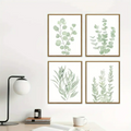 Botanical Plant Eucalyptus Frames Canvas | Set of 4