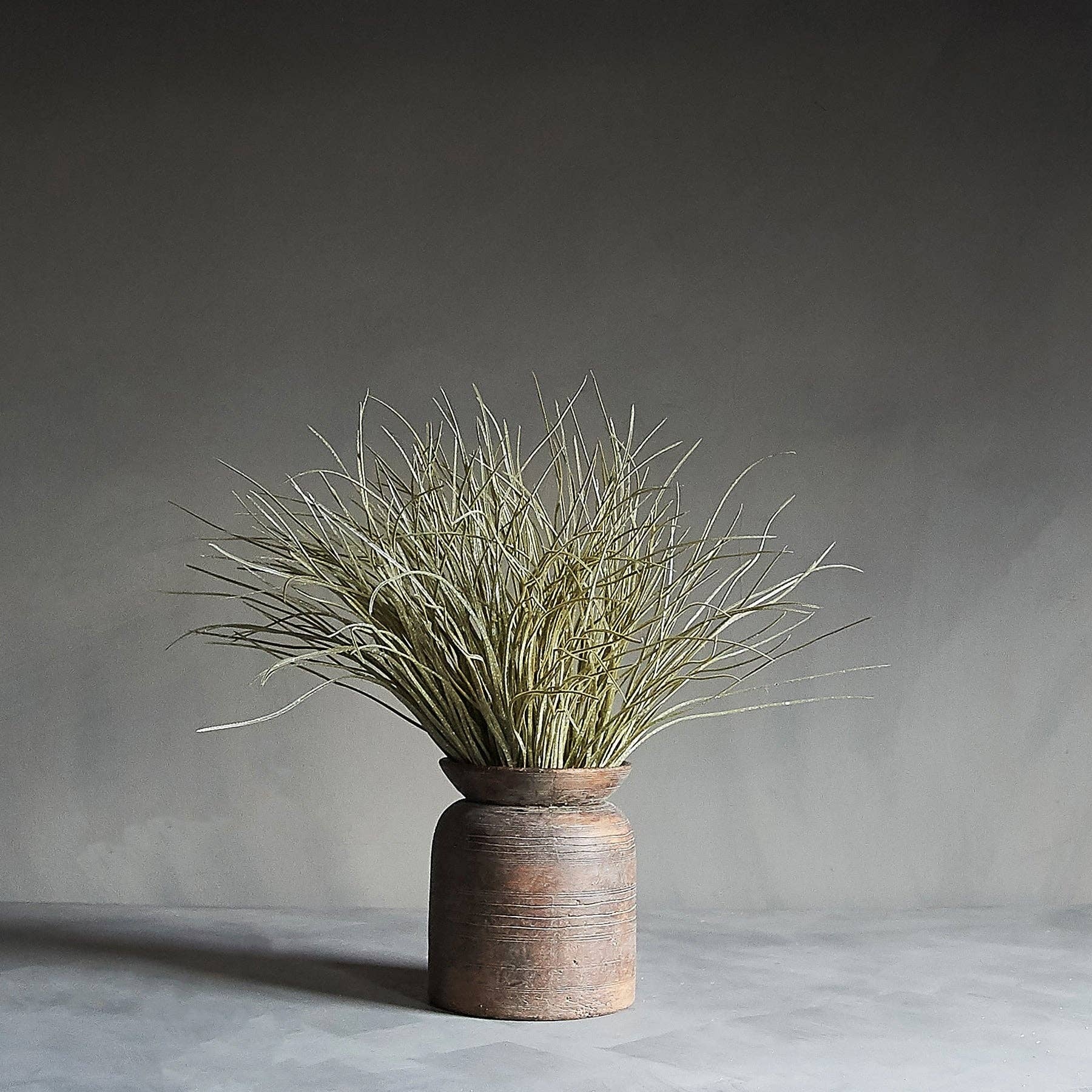 Abigail Ahern | Savanah Grass Stem - Artificial Stem
