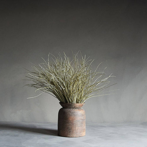 Abigail Ahern | Savanah Grass Stem - Artificial Stem