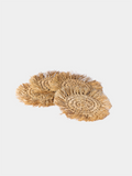 Jitana - Bondi Coasters - Set of 4
