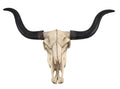 Long Horn Cow Skull Wall Hanging Longhorn Steer 27.5 inch
