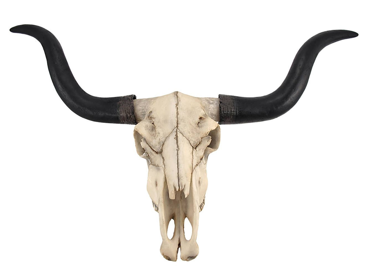 Long Horn Cow Skull Wall Hanging Longhorn Steer 27.5 inch