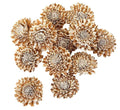Shola Star (Per Bag)