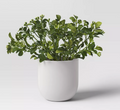 Artificial Mini Boxwood Arrangement Green
