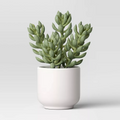 Artificial Succulent Plant Sage Green