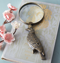 Raven Magnifying Glass