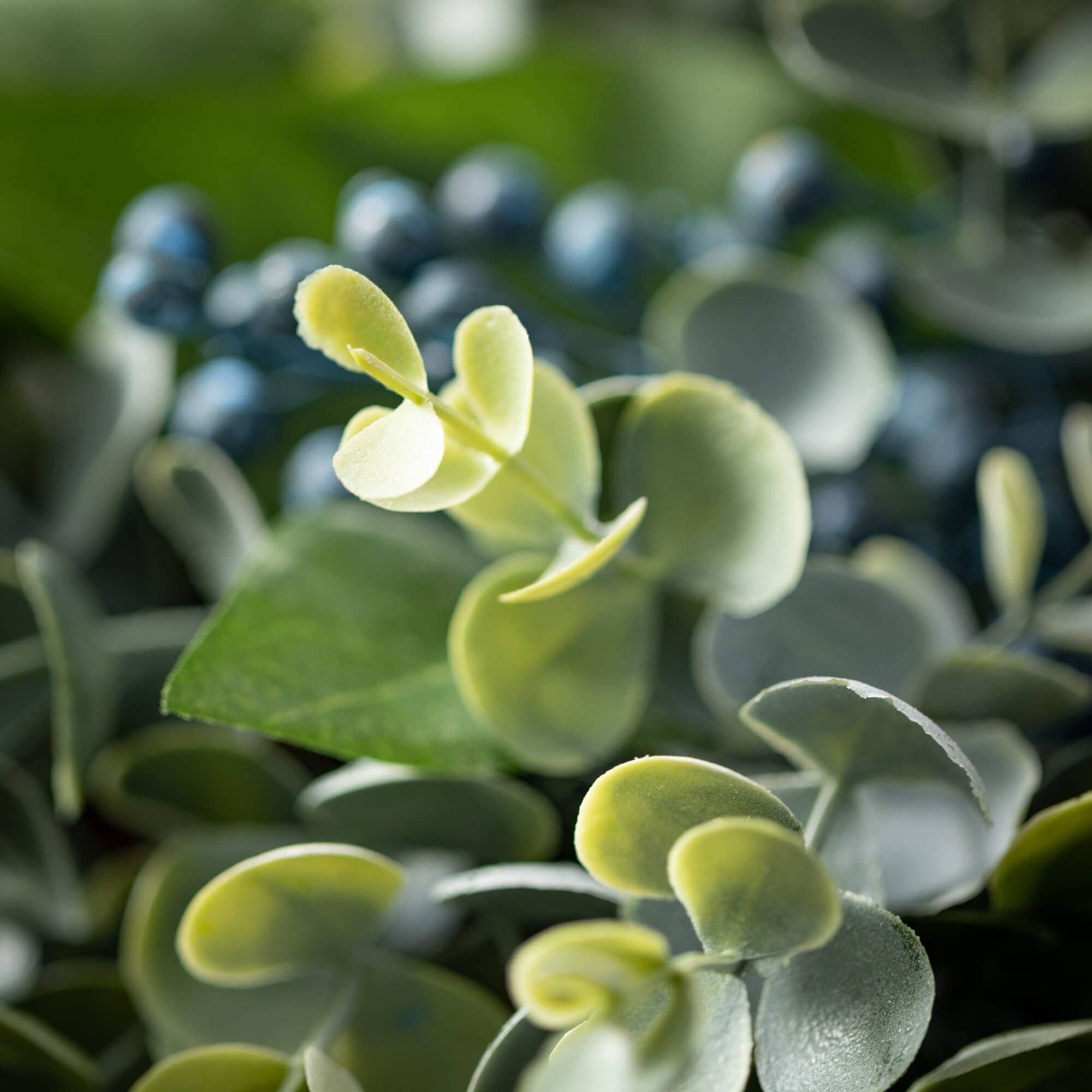 Sullivans Home Decor - EUCALYPTUS & SAGE PICK