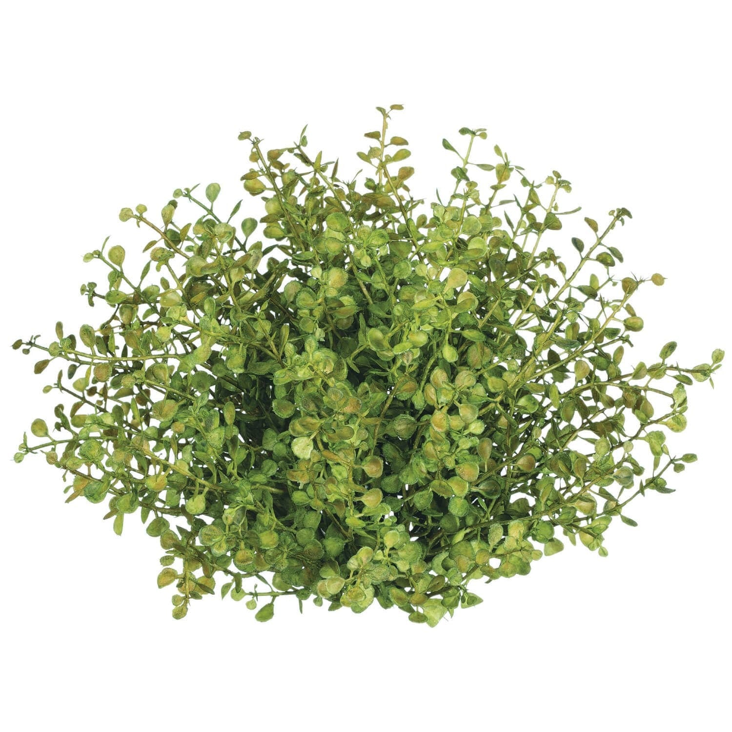 Baby Grass Half Orb