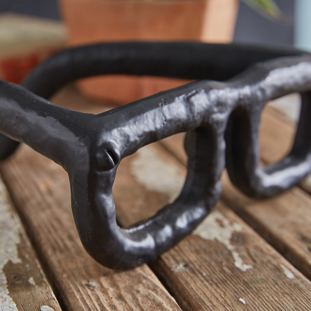 Rustic Eyewear Sculpture